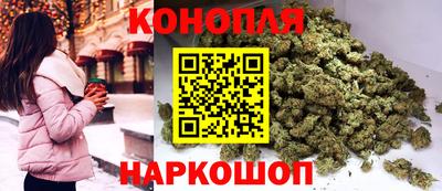 гидропоника Заводоуковск