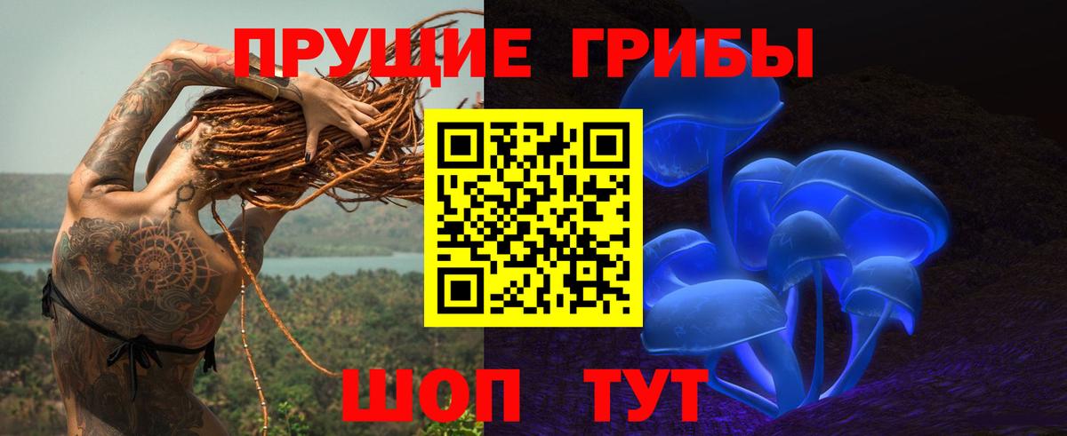 Кубинка  Псилоцибиновые грибы мицелий  Вход с VPN 